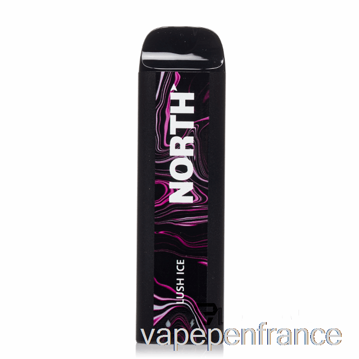 Stylo Jetable à Glace Luxuriante North 5000